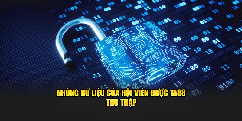Những dữ liệu của hội viên được Ta88 thu thập