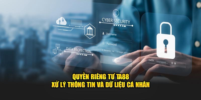 Quyền lợi và trách nhiệm của người dùng theo quy định